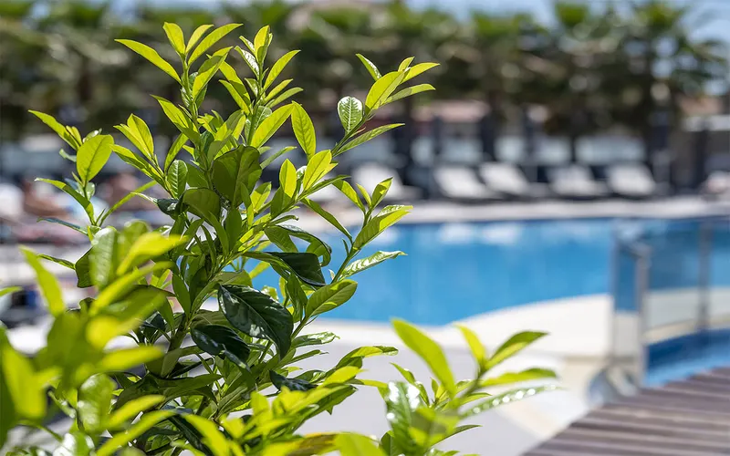 Dionysos Hotel and Studios