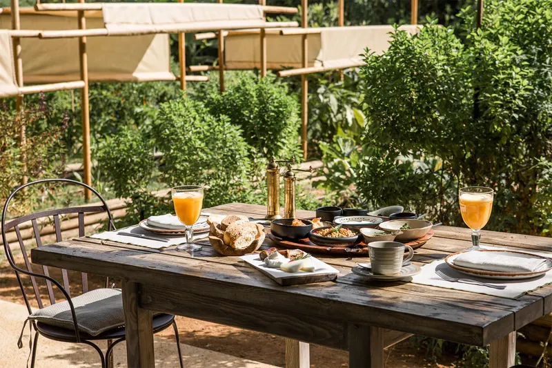Phaea Cretan Malia, a Member of Design Hotels