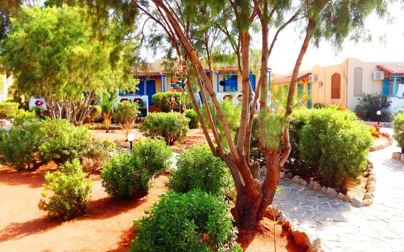 Zorbas Beach Village Hotel