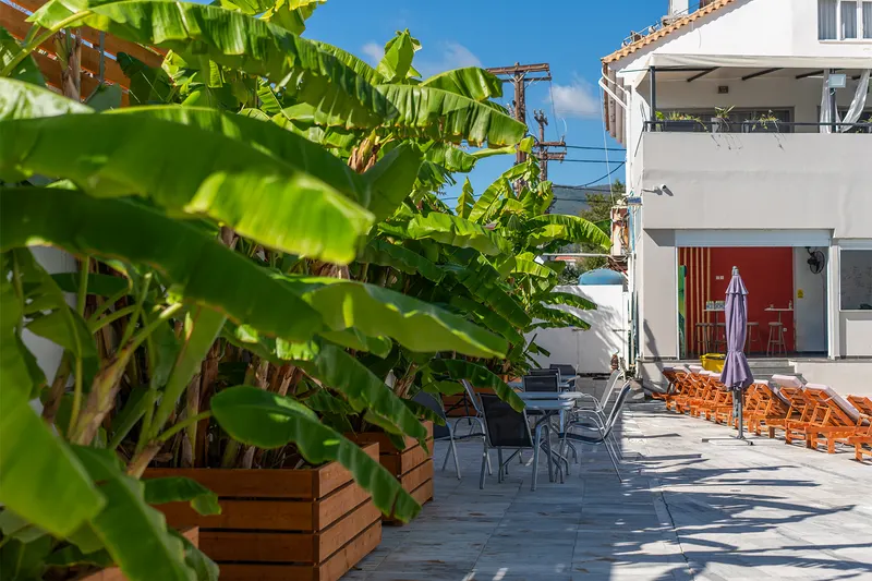 Mojo Hotel