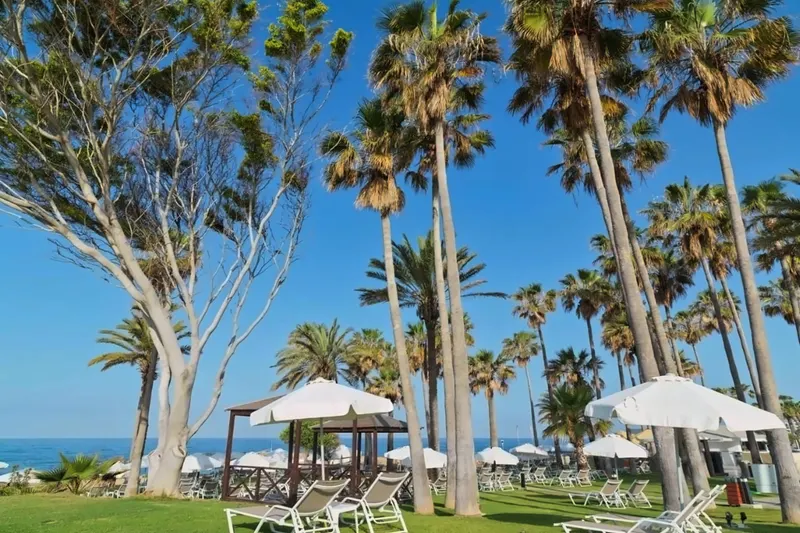 Leonardo Plaza Cypria Maris Beach Hotel & Spa (Adults Only 16+)