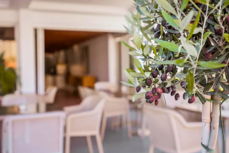 Paul Marie Hotel Apartments