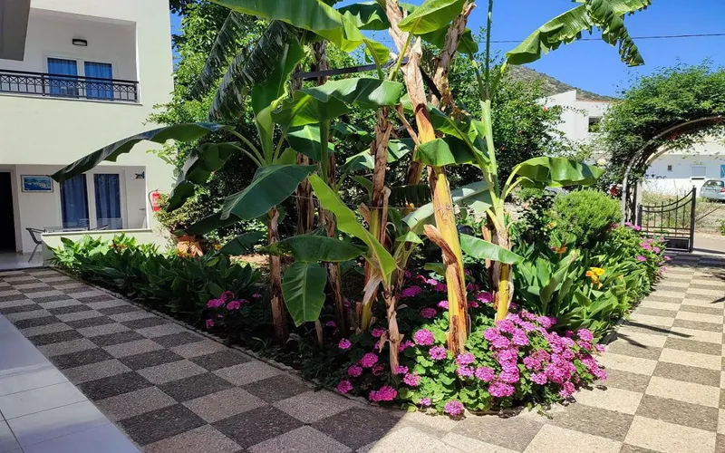 Dorian Apartments Bali