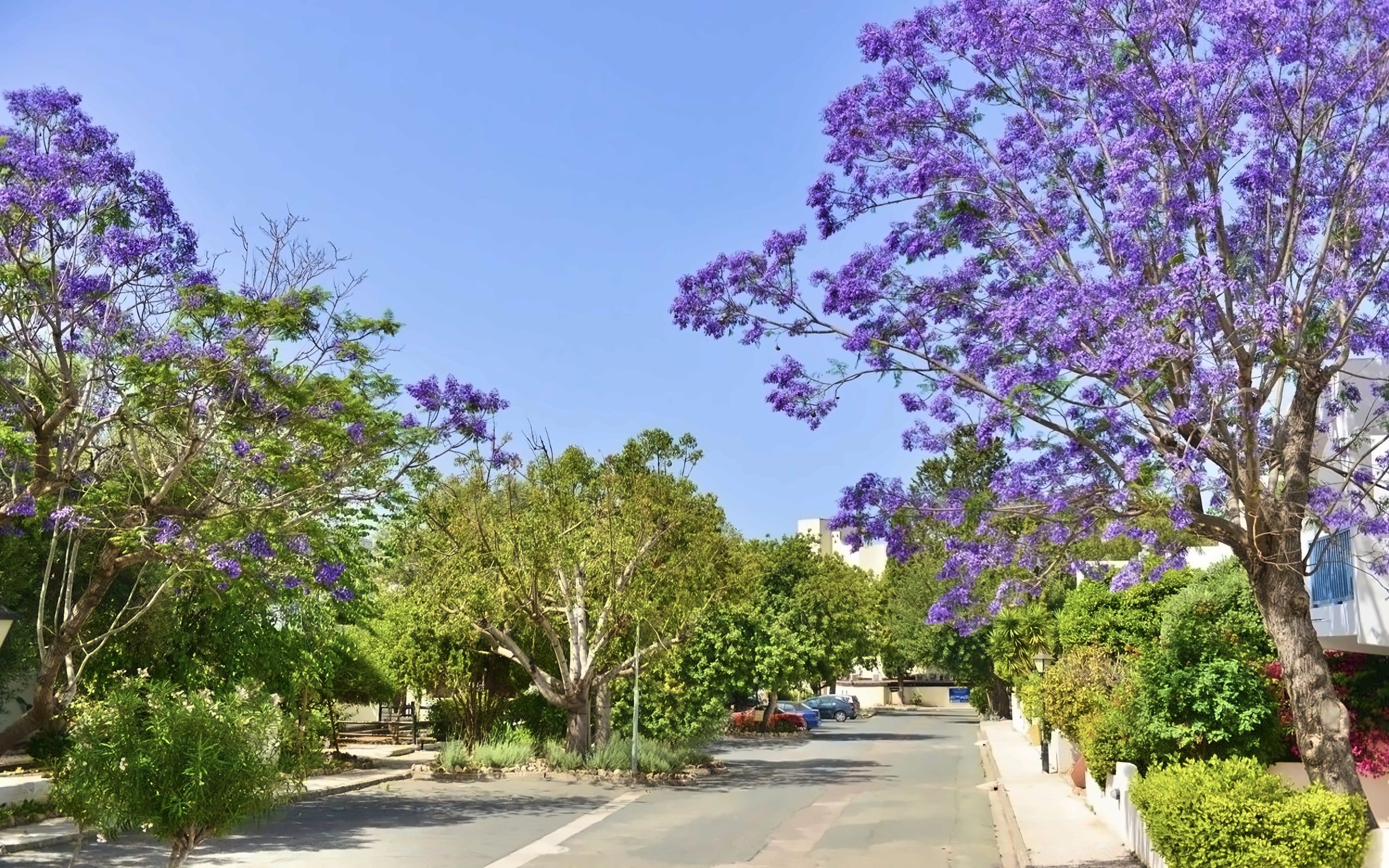 Paphos Gardens Holiday Resort