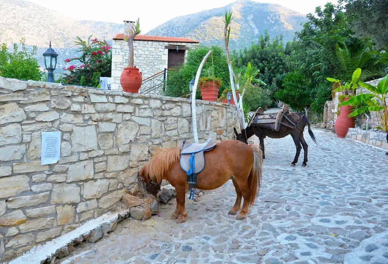 Stone Village Petrino Chorio