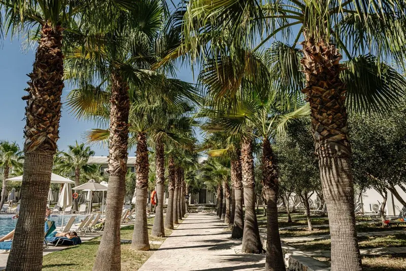 Caretta Island - All Inclusive