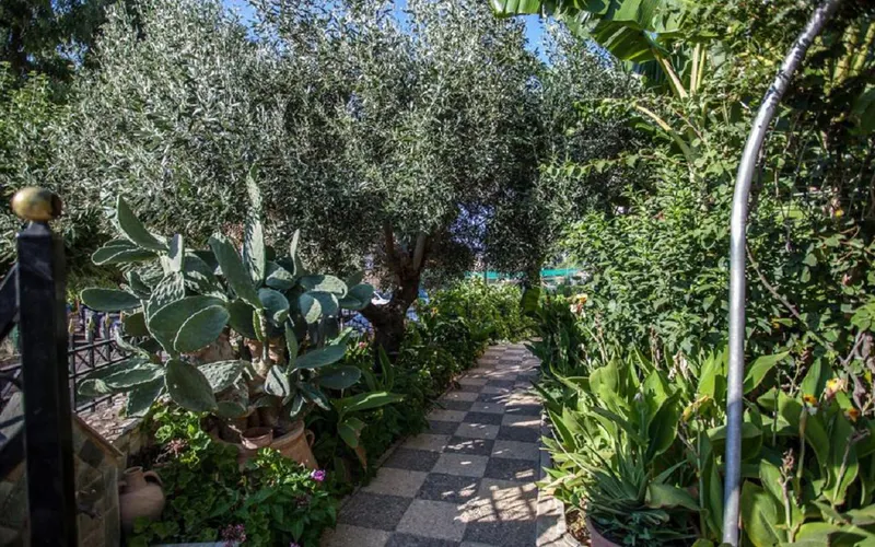 Dorian Apartments Bali